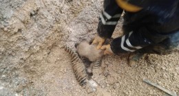 Konya’da rögara düşen yavru köpeği kurtarma operasyonu