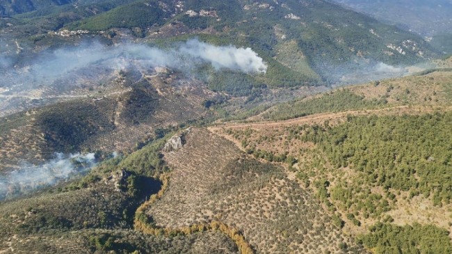 Kazdağları’nda yangın: Havadan ve karadan müdahale ediliyor